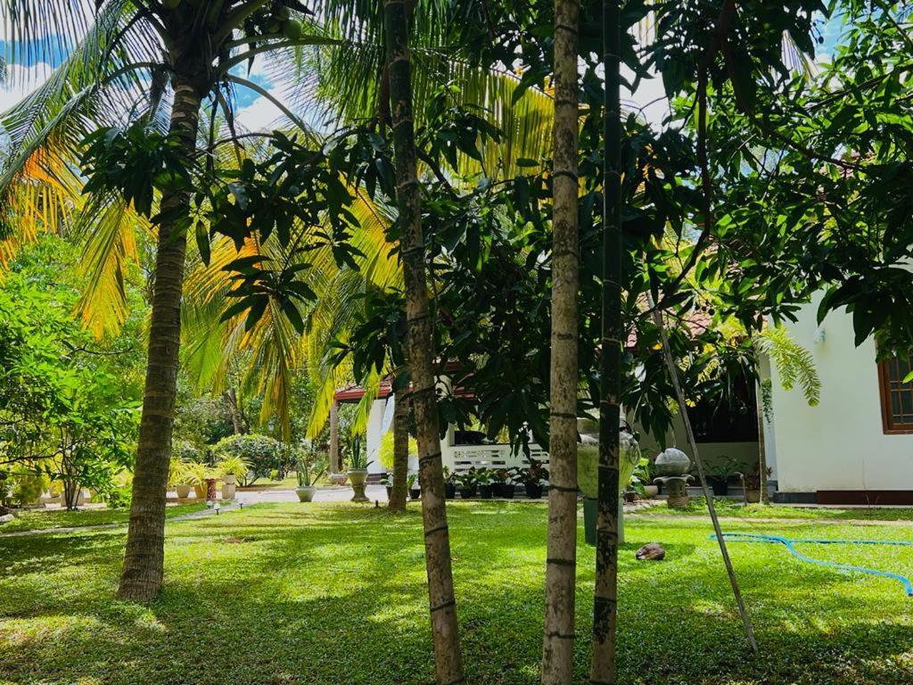 Krishan Villa Negombo Exterior photo