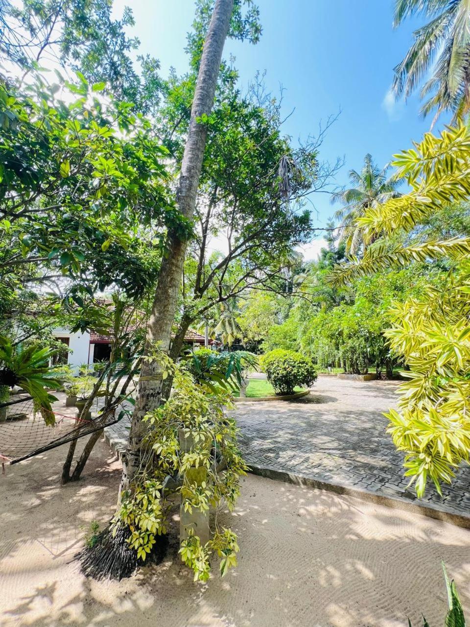 Krishan Villa Negombo Exterior photo